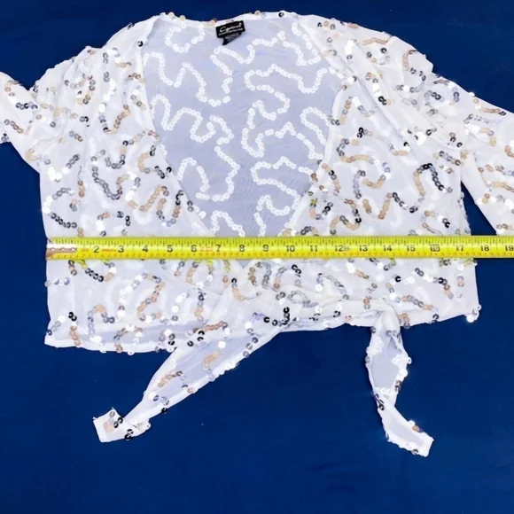 Sequin Tie-Front Sheer Creme Crop Top - Picture 12 of 12